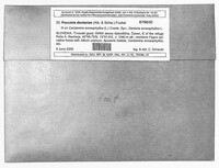 Image Associated With the Occurrence